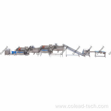 Leaf Vegetable processing machinery